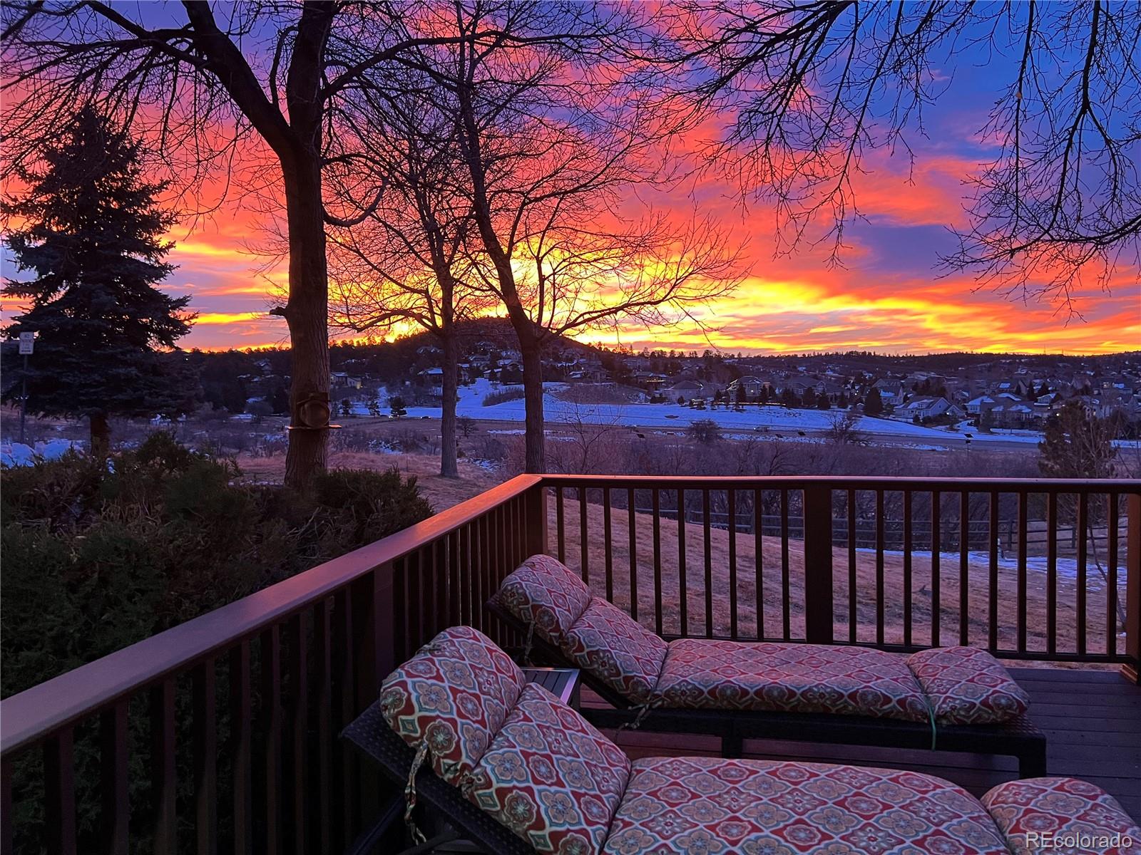 896 Ironspur Court Castle Rock CO 80108