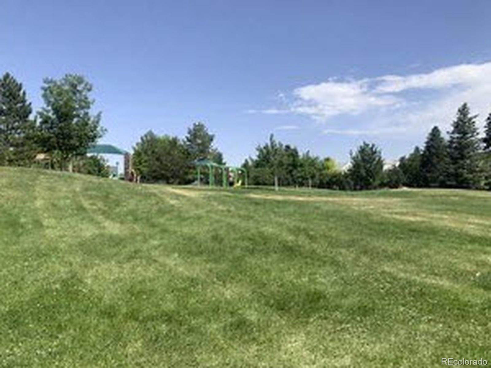 943 Jersey Street Denver CO 80220
