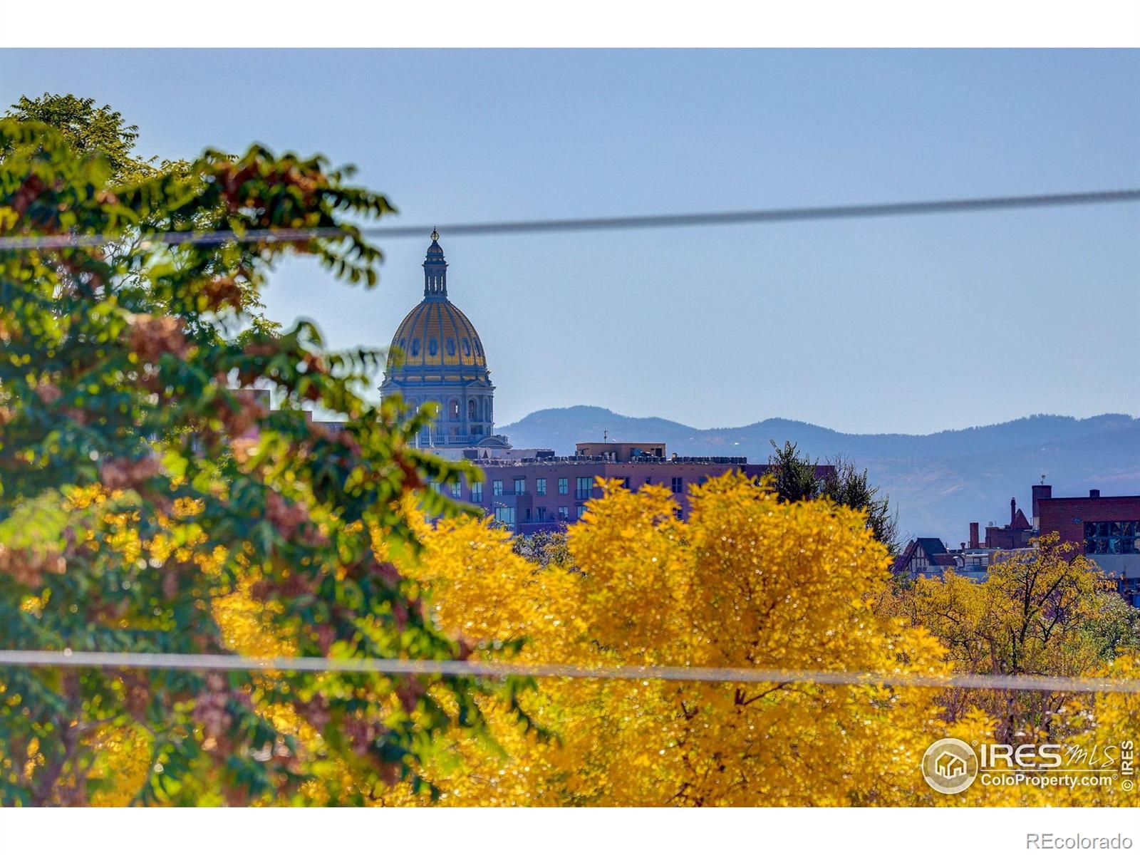 2139 N Downing Street Denver CO 80205