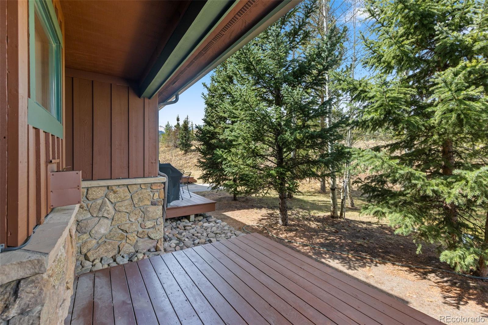 85 Chestnut Lane Breckenridge CO 80424