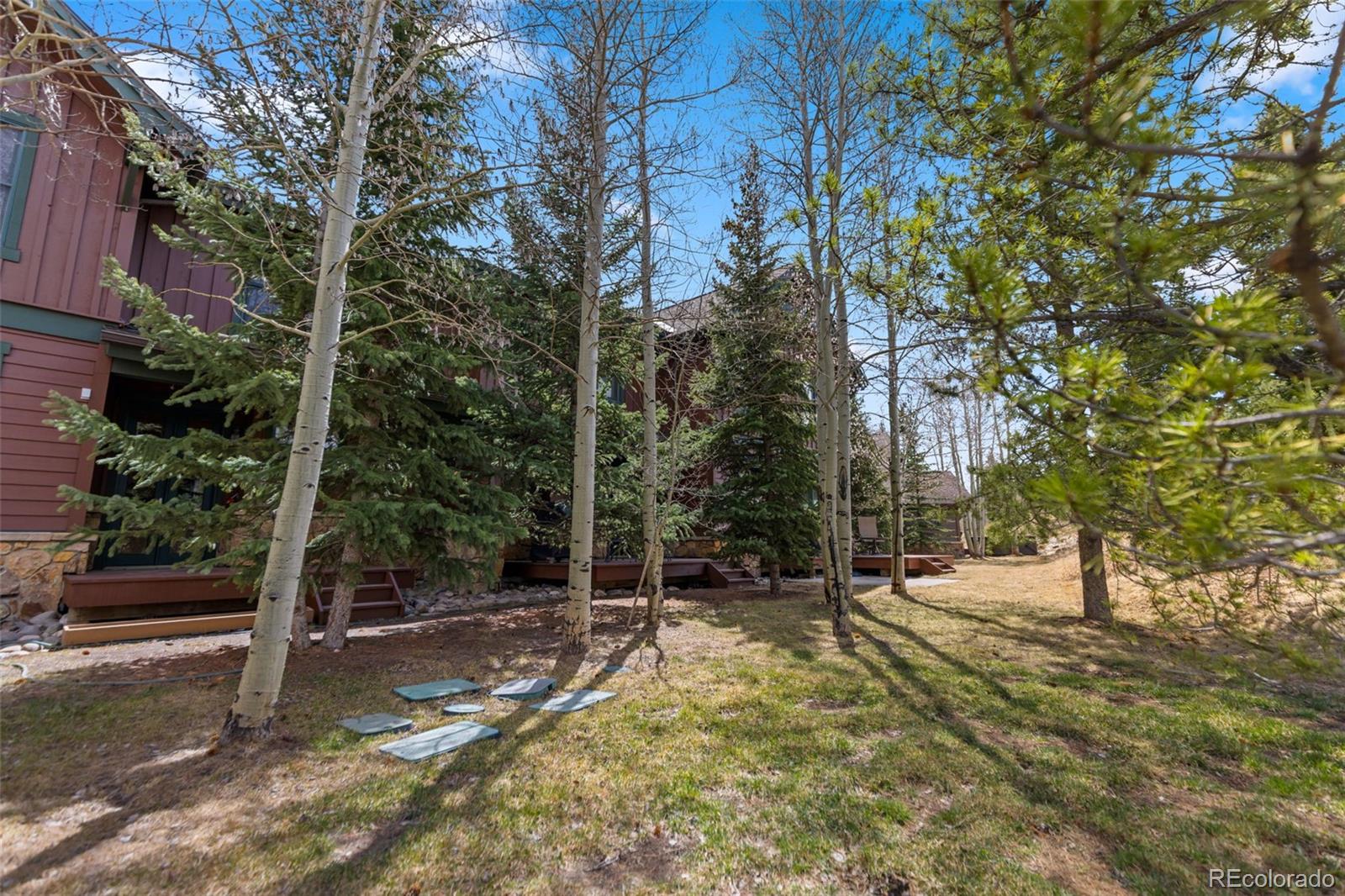 85 Chestnut Lane Breckenridge CO 80424