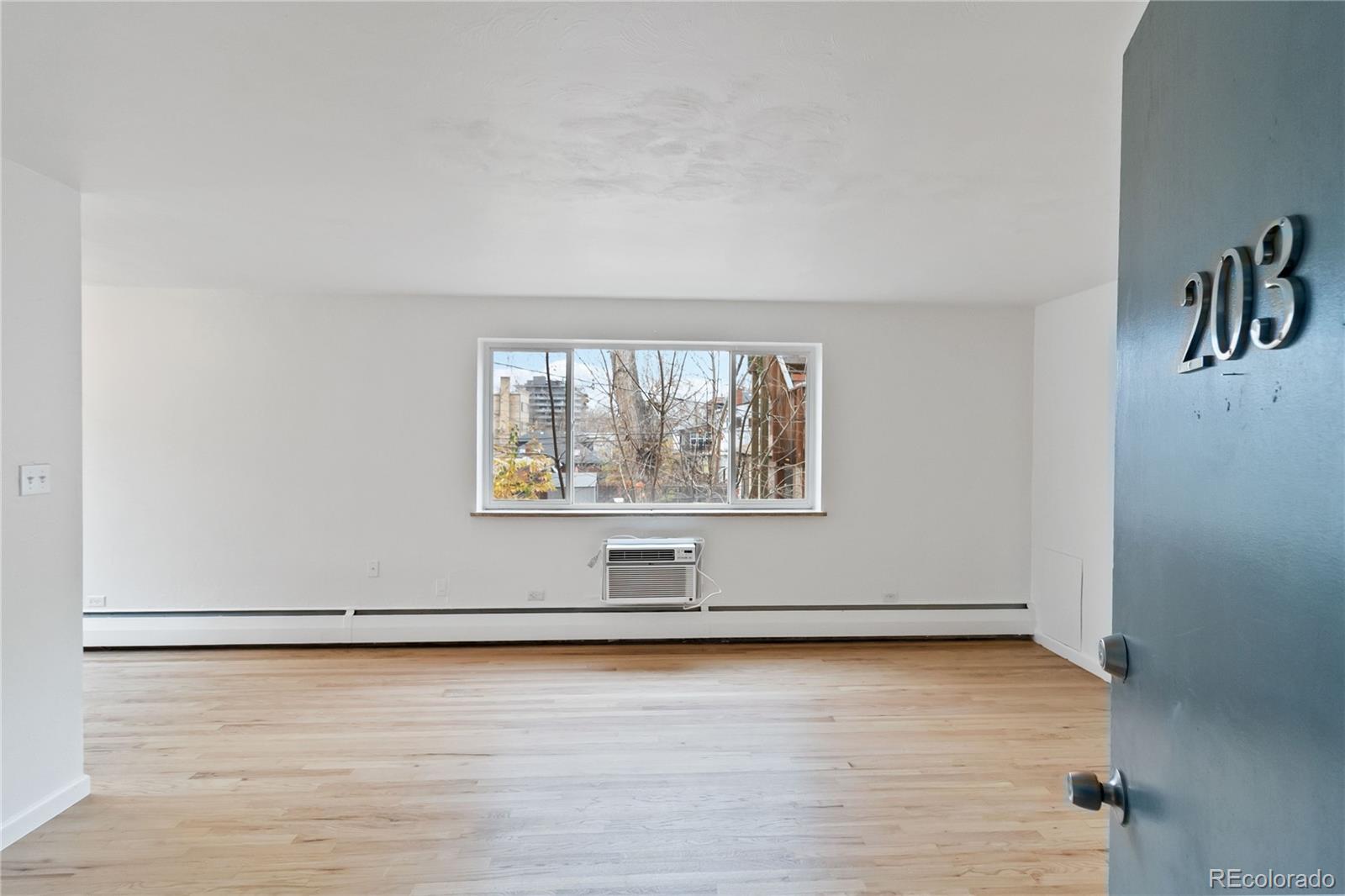 1056 Marion Street Denver CO 80218