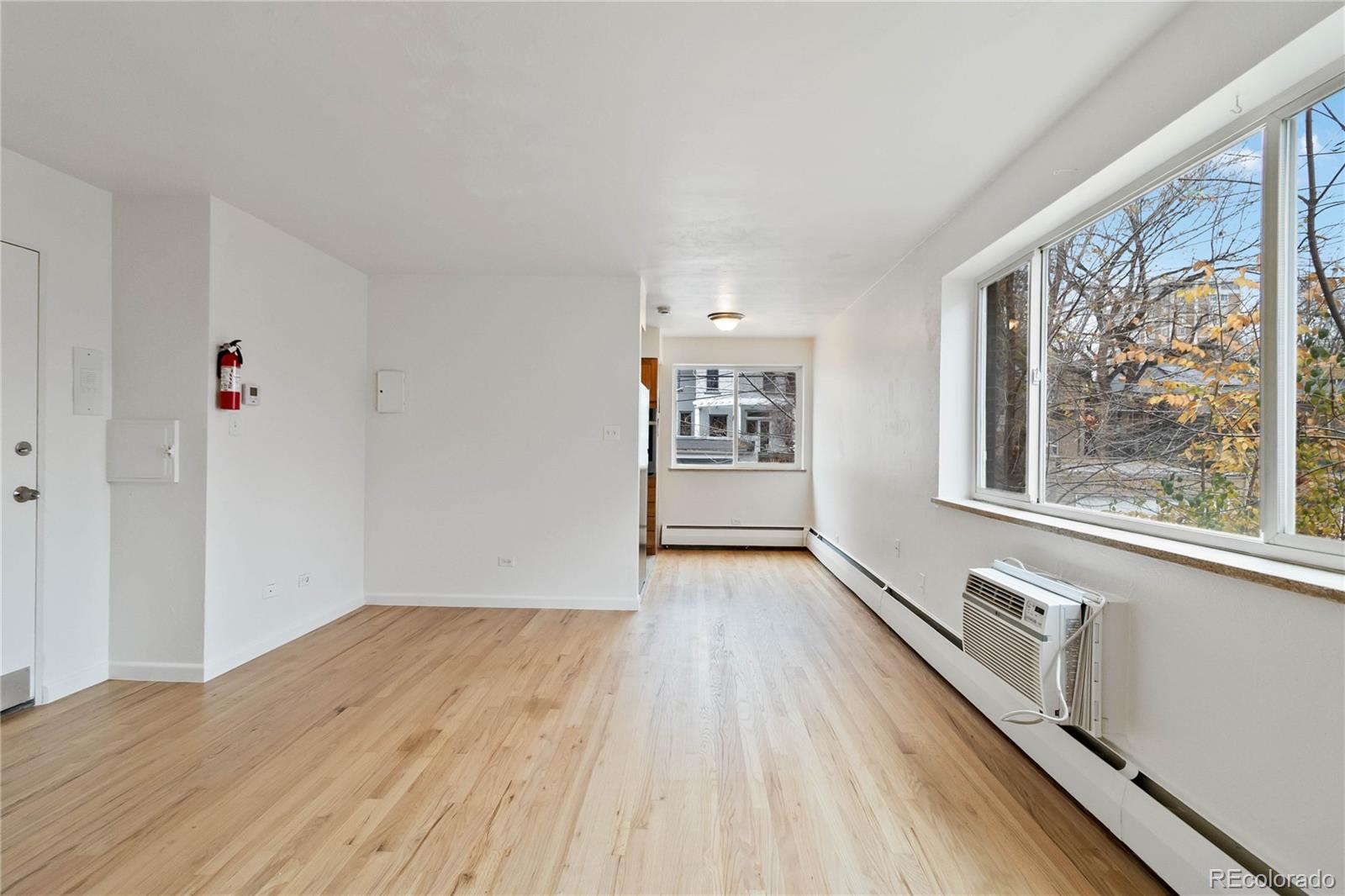 1056 Marion Street Denver CO 80218