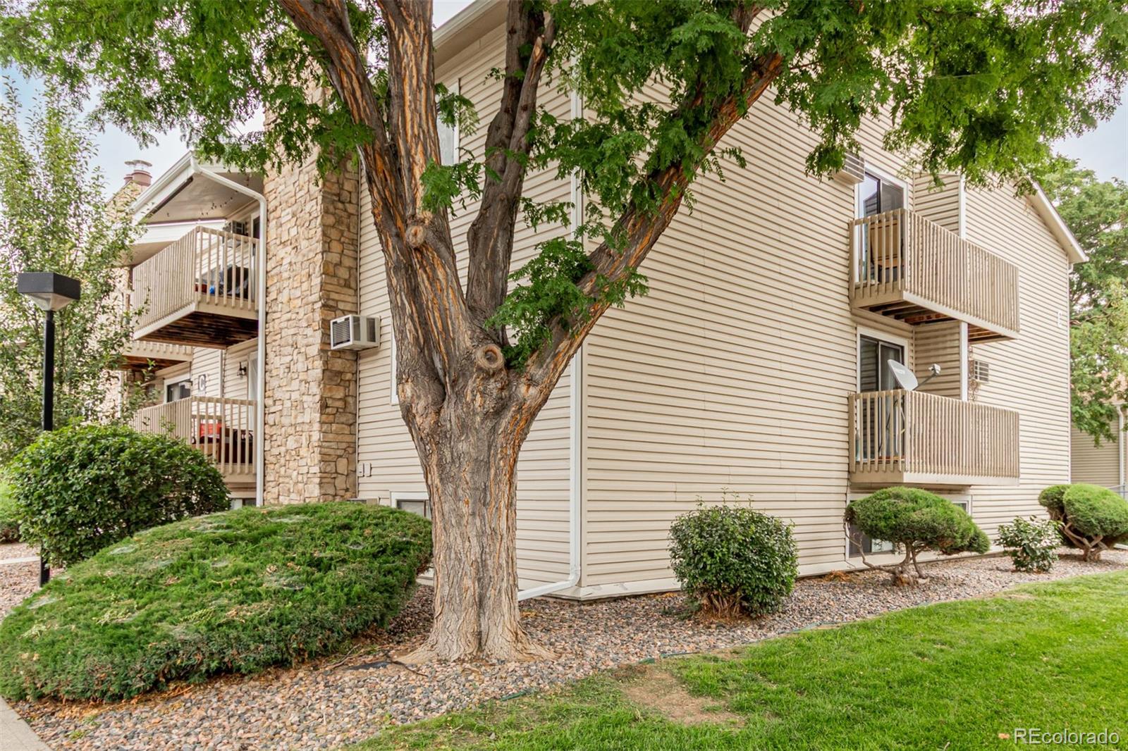 381 S Ames Street Lakewood CO 80226