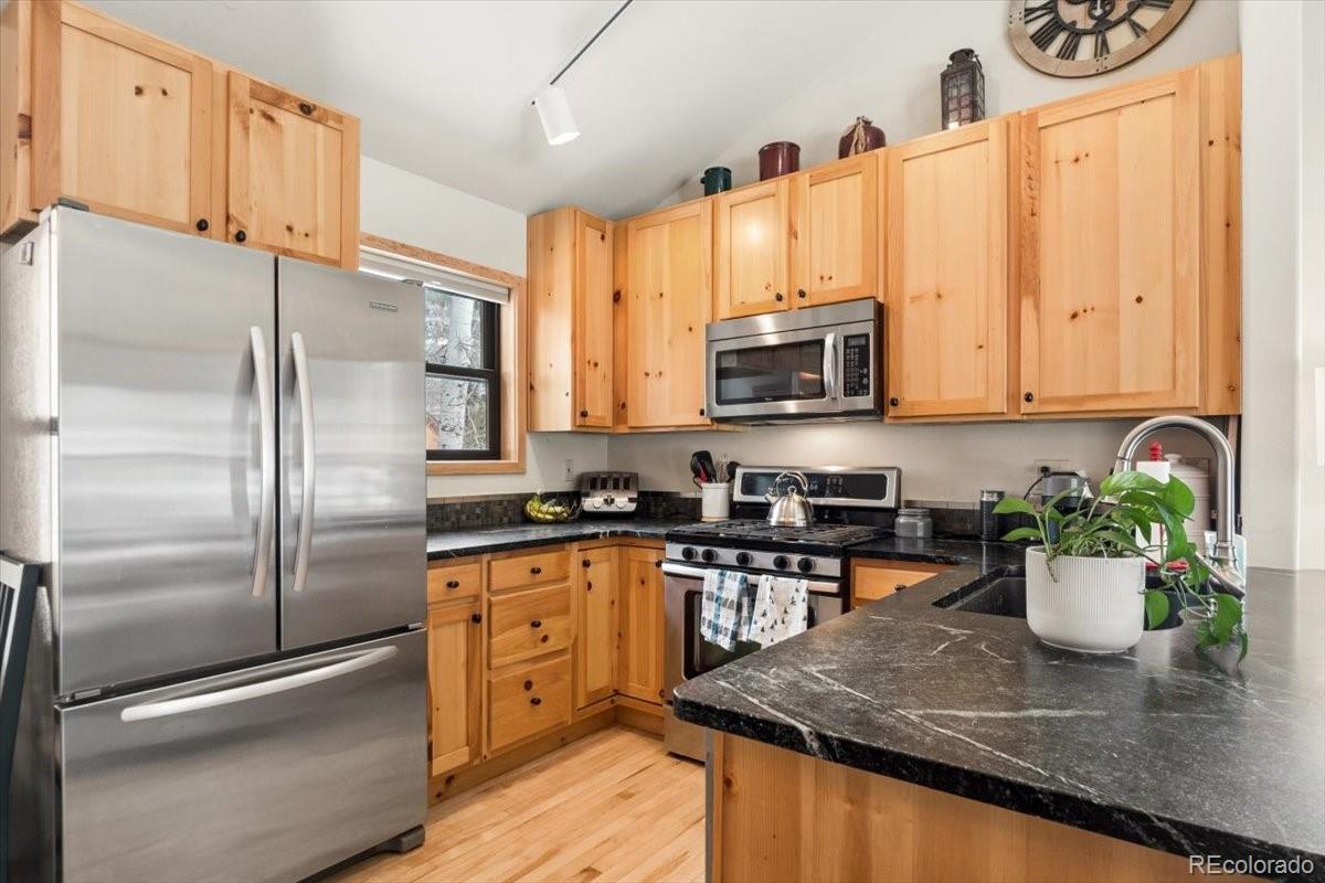 111 Norse Lane Dillon CO 80435