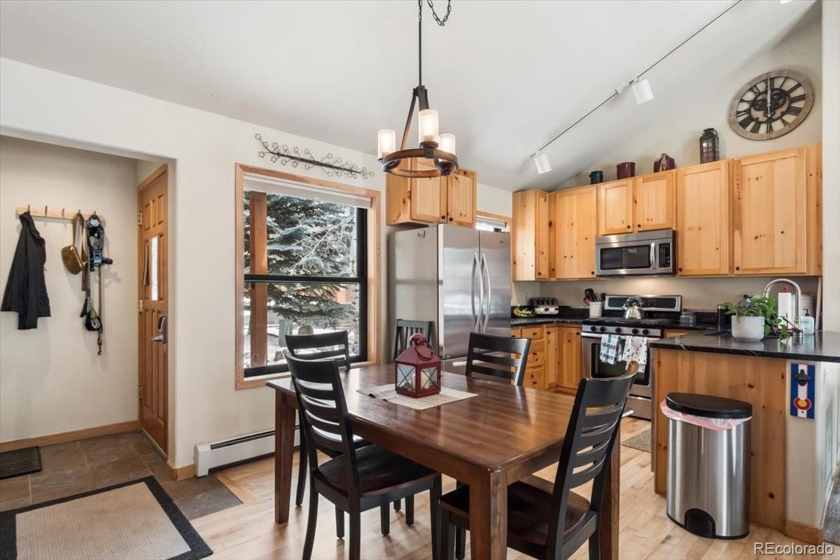 111 Norse Lane Dillon CO 80435