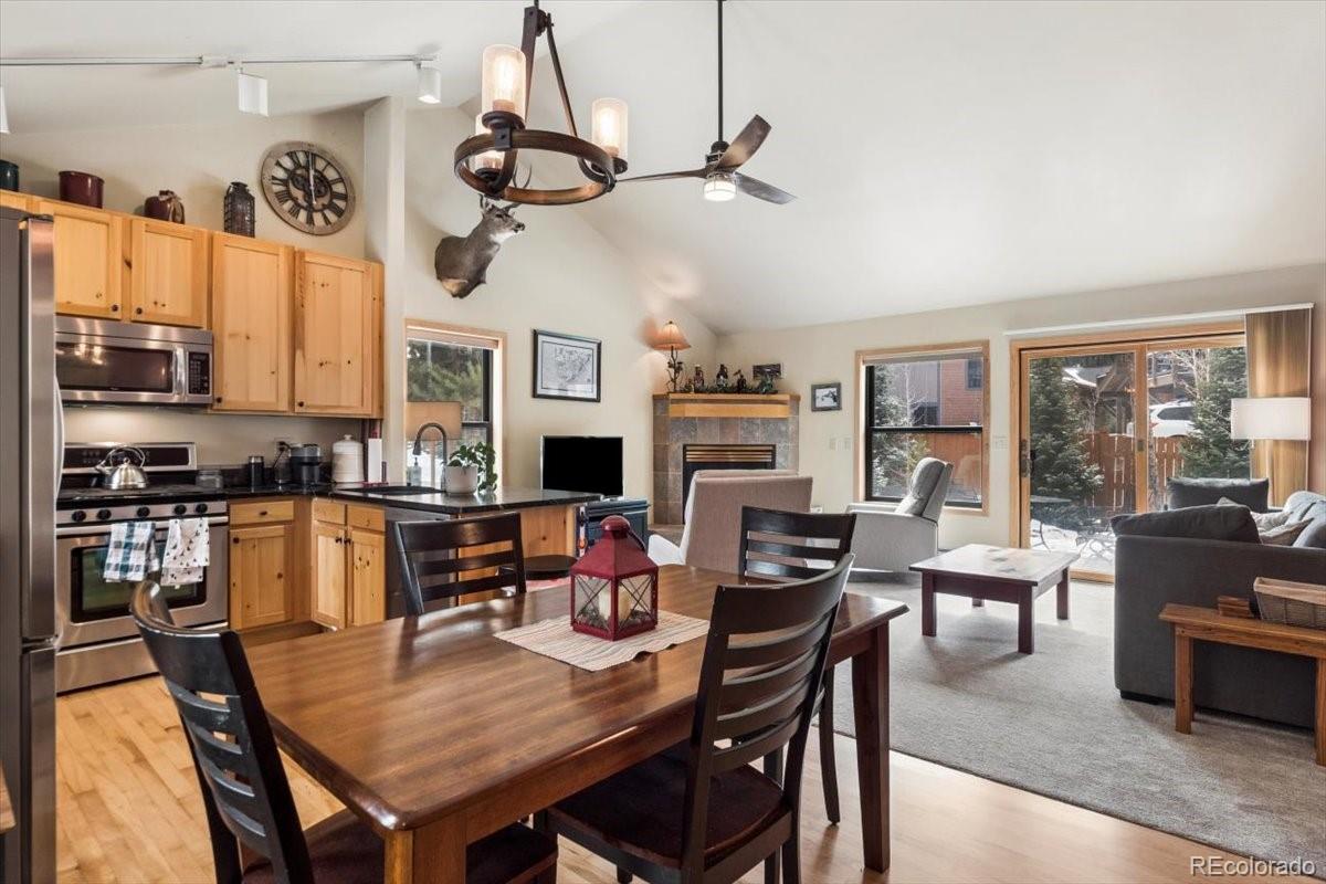 111 Norse Lane Dillon CO 80435