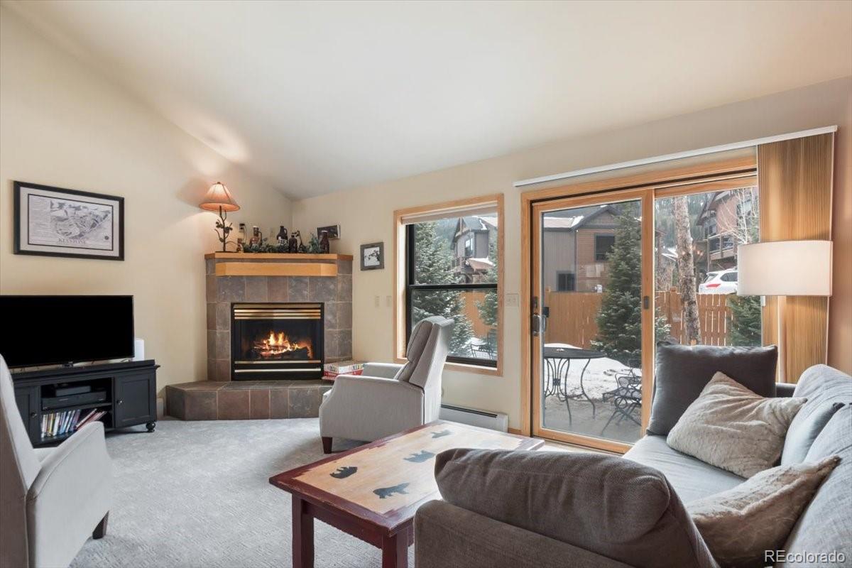 111 Norse Lane Dillon CO 80435