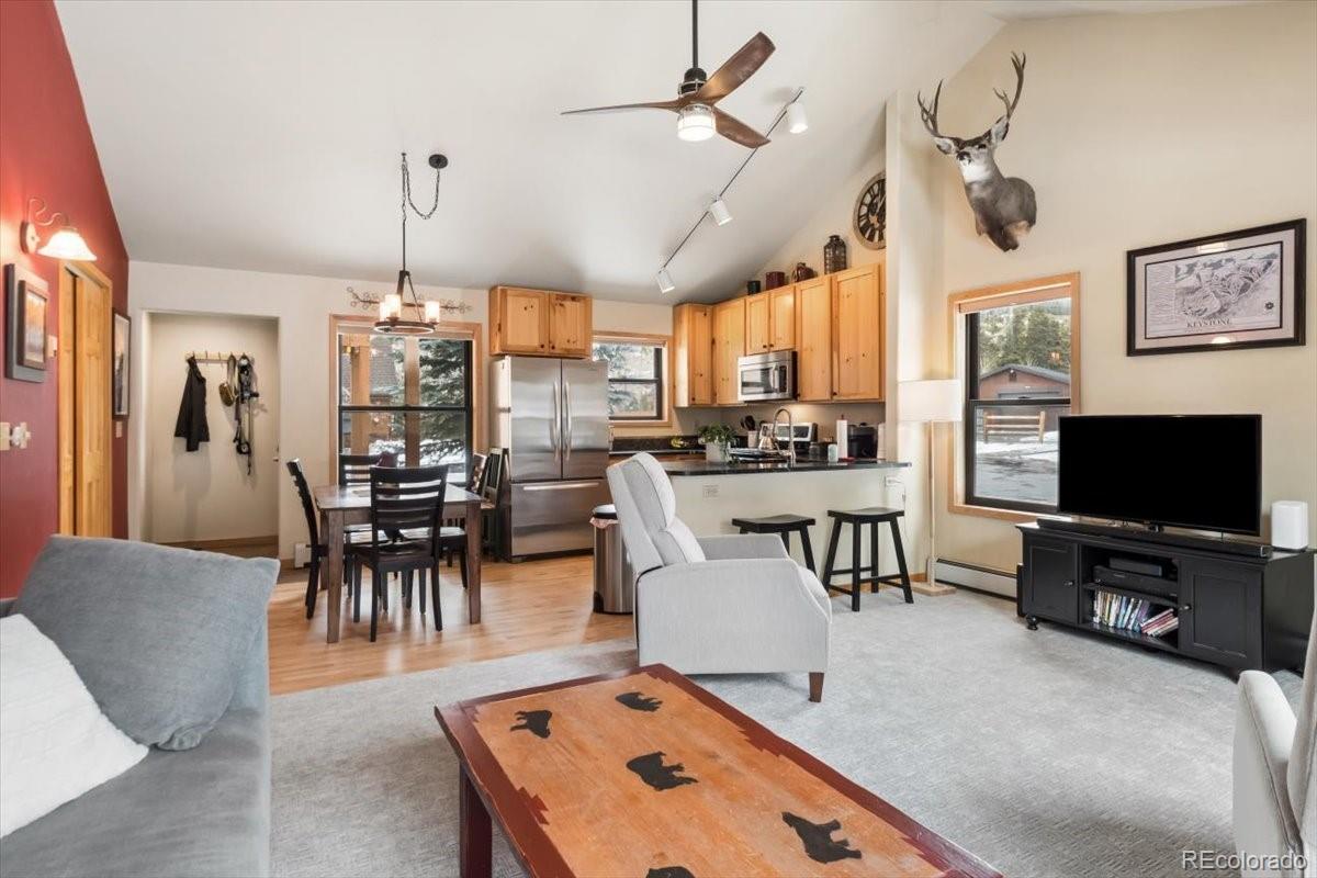 111 Norse Lane Dillon CO 80435