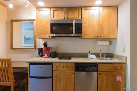 6 Emmons Road Mt Crested Butte CO 81225