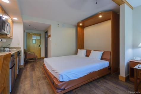 6 Emmons Road Mt Crested Butte CO 81225