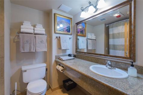 6 Emmons Road Mt Crested Butte CO 81225