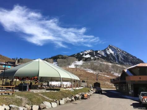 6 Emmons Road Mt Crested Butte CO 81225