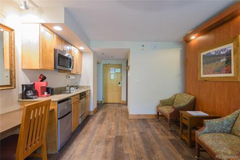 6 Emmons Road Mt Crested Butte CO 81225