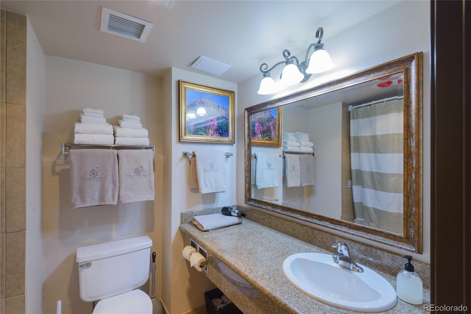 6 Emmons Road Mt Crested Butte CO 81225