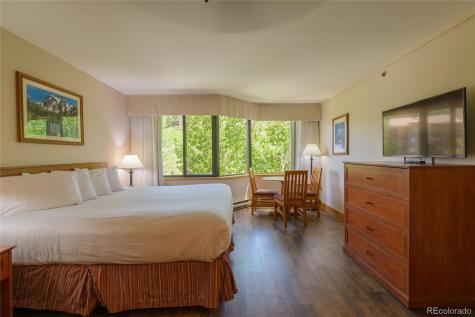 6 Emmons Road Mt Crested Butte CO 81225