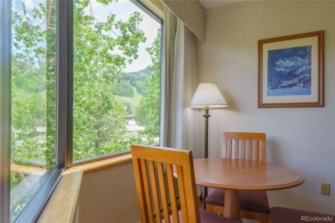 6 Emmons Road Mt Crested Butte CO 81225