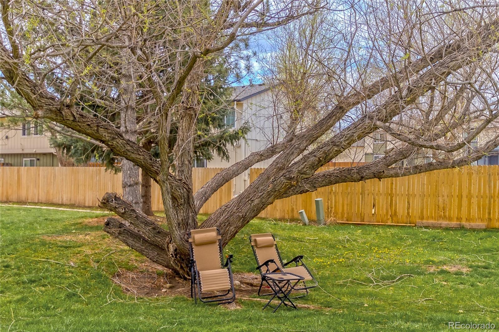 329 Butch Cassidy Drive Fort Collins CO 80524