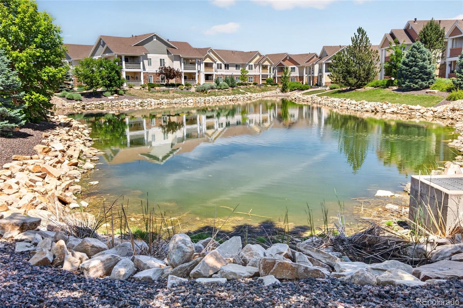 4825 Hahns Peak Drive Loveland CO 80538