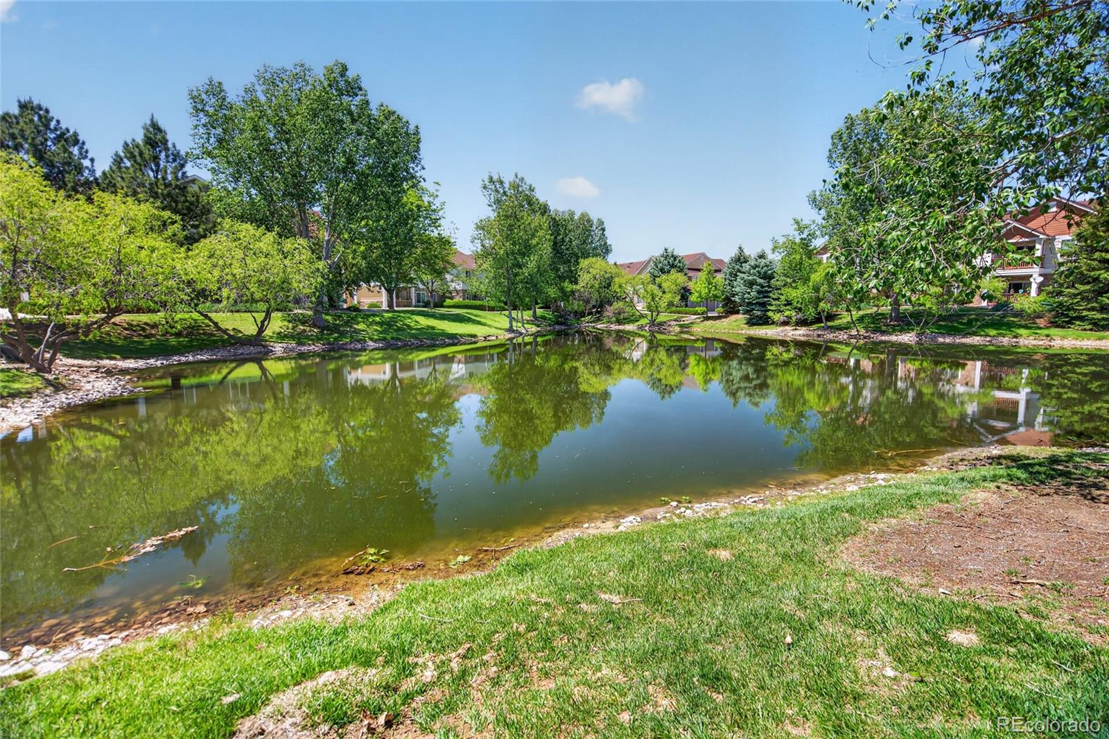 4825 Hahns Peak Drive Loveland CO 80538