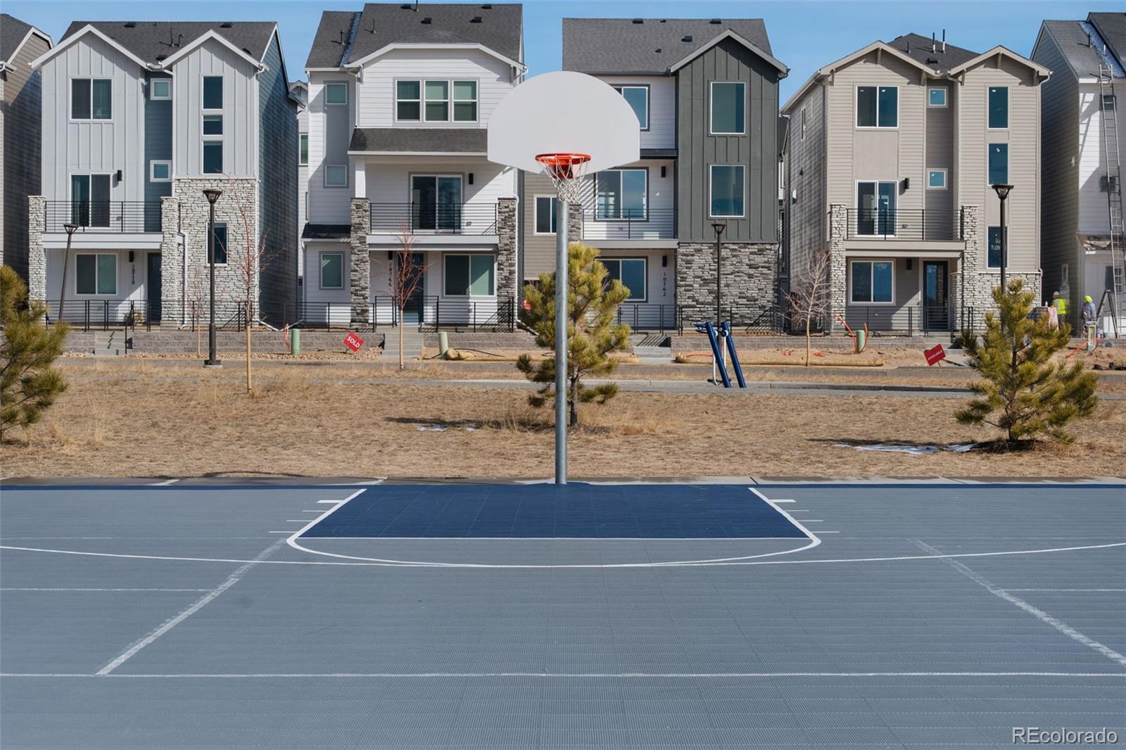 10653 Larimar Point Colorado Springs CO 80908