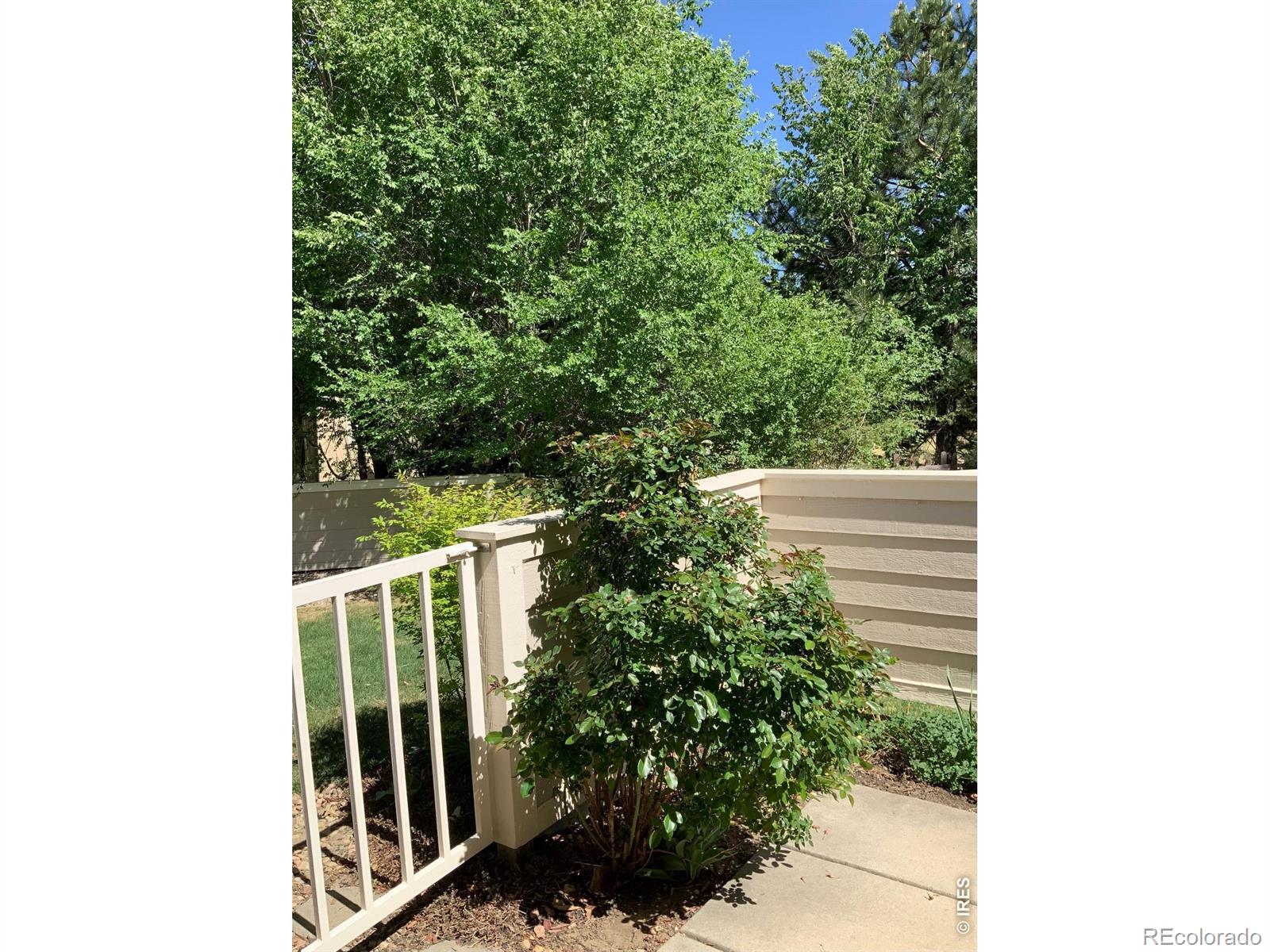 907 Hover Ridge Circle Longmont CO 80501