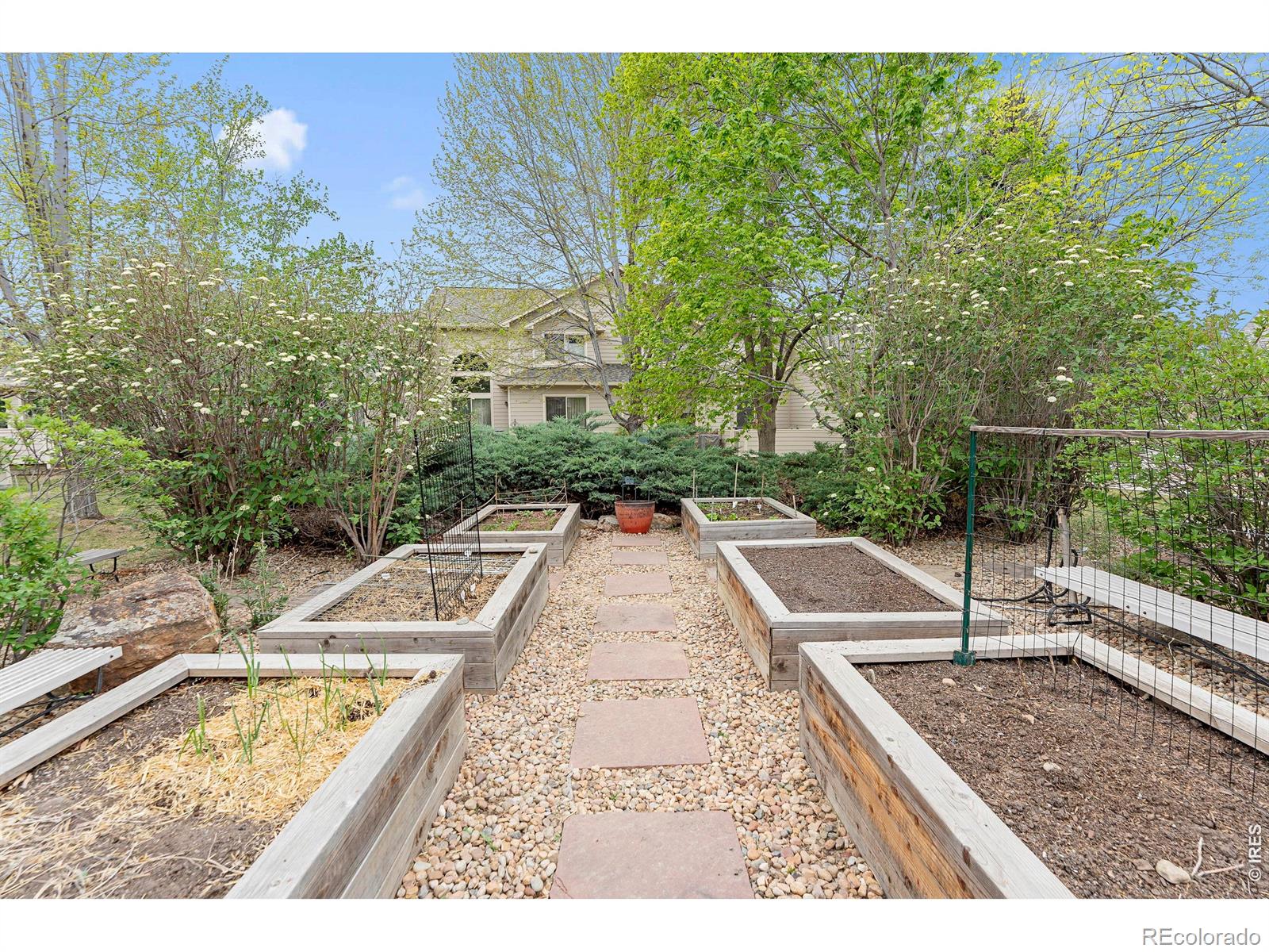 907 Hover Ridge Circle Longmont CO 80501