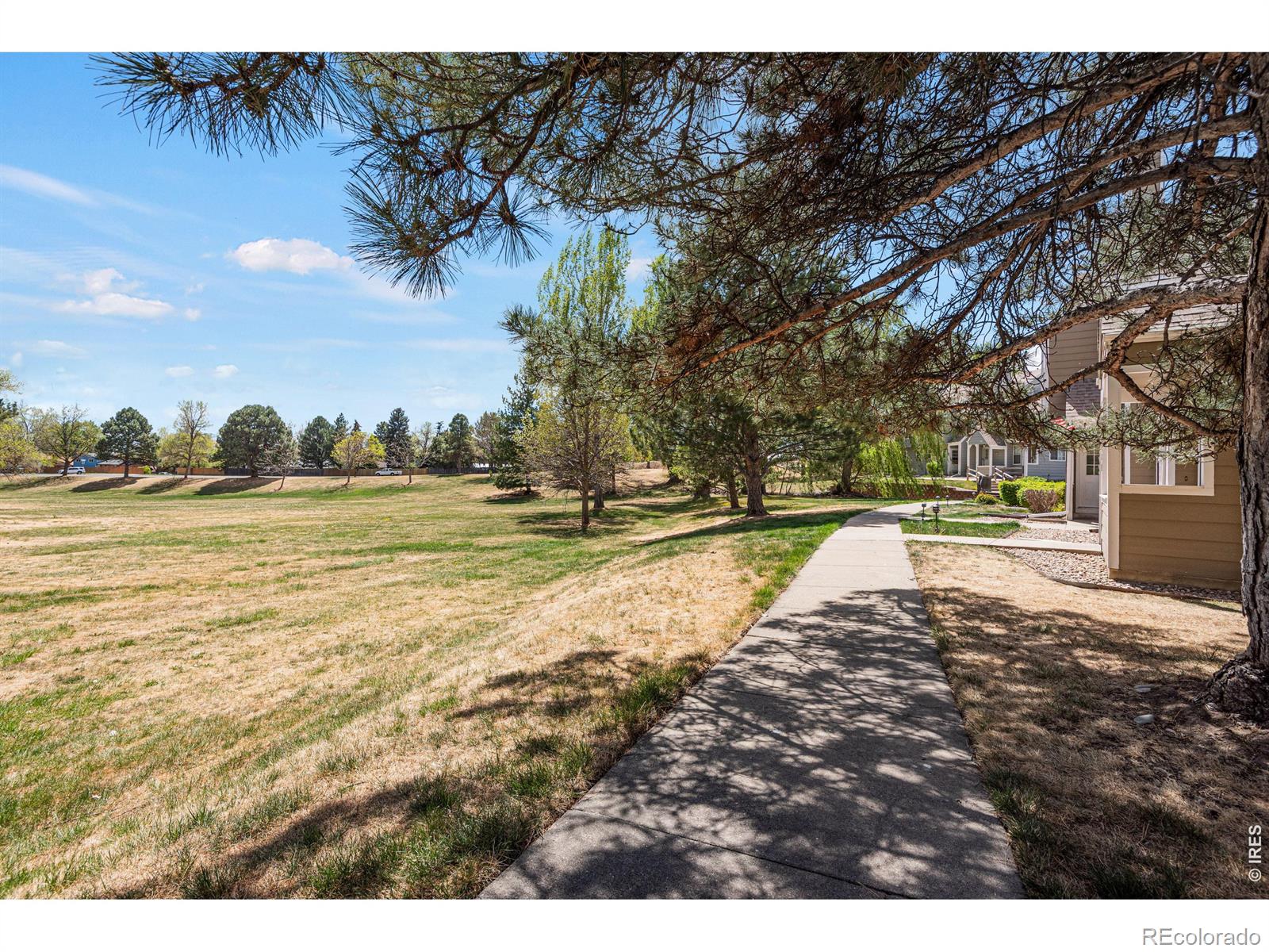 7230 Devinney Court Arvada CO 80005