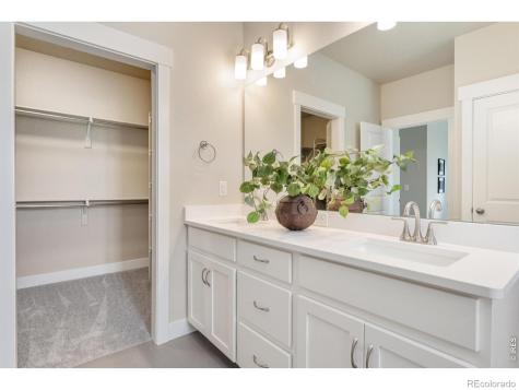 6224 Vernazza Way Windsor CO 80550