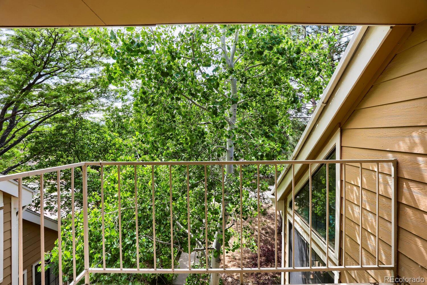 5924 Gunbarrel Avenue Boulder CO 80301