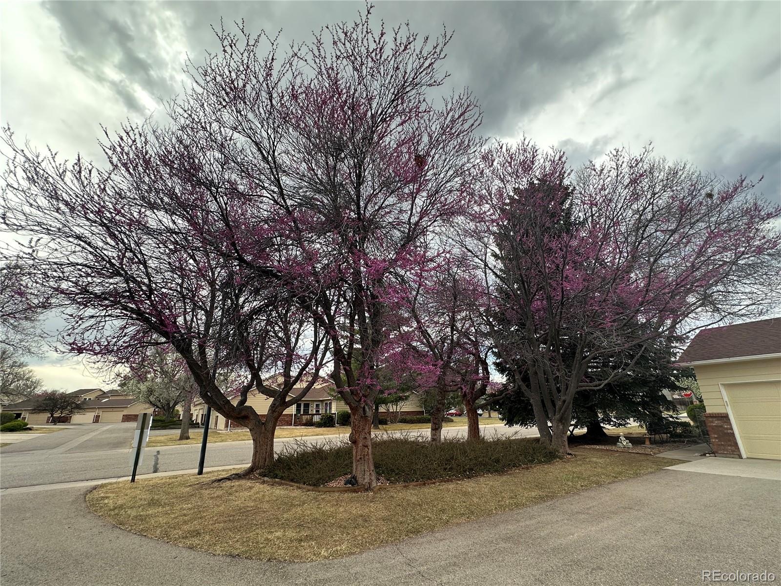 3324 Hickok Drive Fort Collins CO 80526