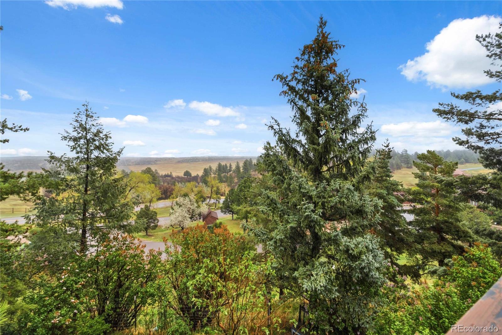 4535 Sentinel Rock Larkspur CO 80118