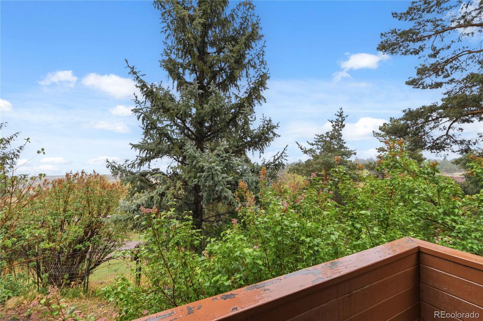 4535 Sentinel Rock Larkspur CO 80118