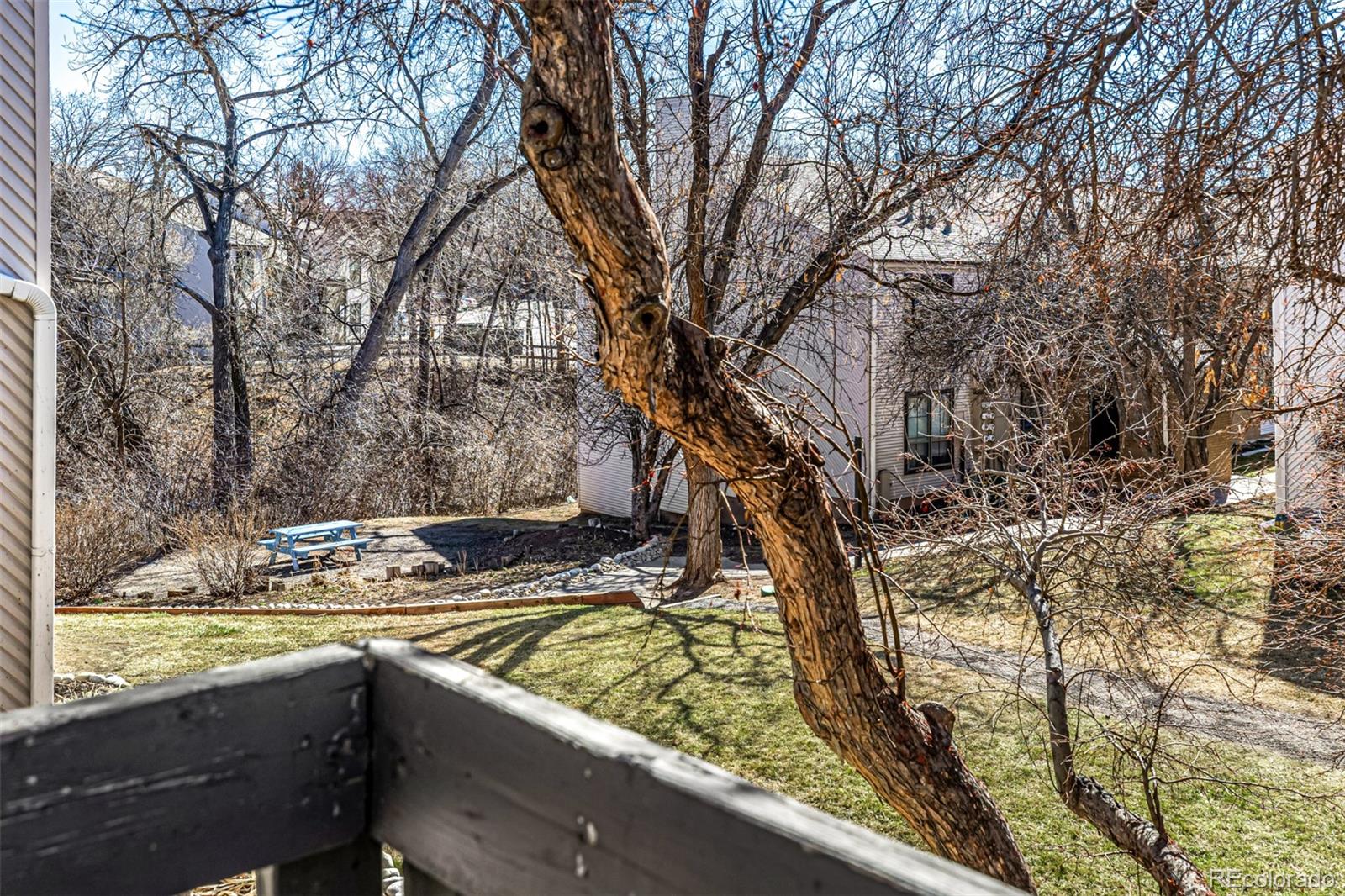 3550 S Harlan Street Denver CO 80235