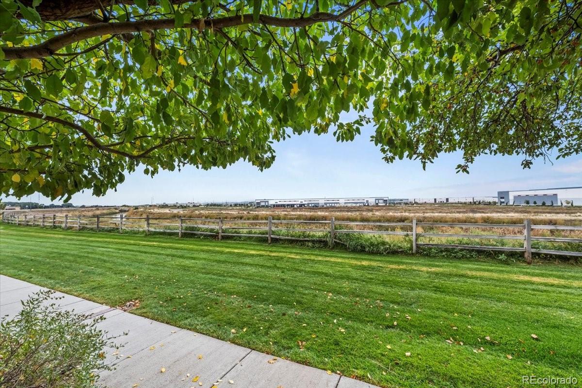 10449 Paris Street Commerce City CO 80640