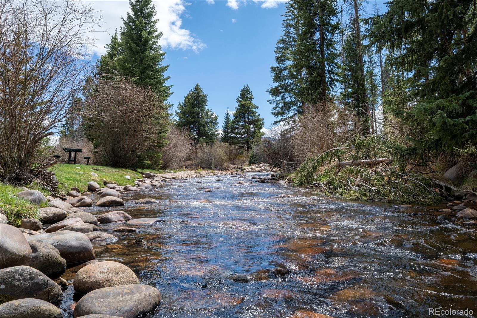 59 River Drive Winter Park CO 80482
