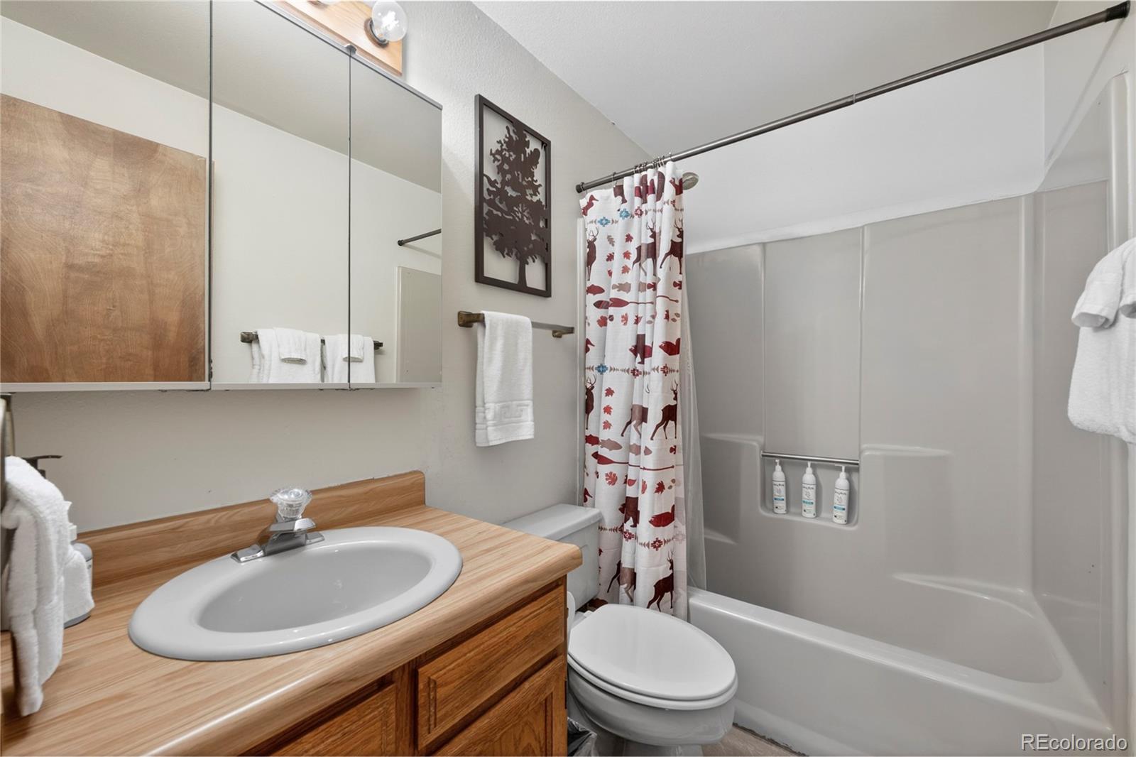 59 River Drive Winter Park CO 80482