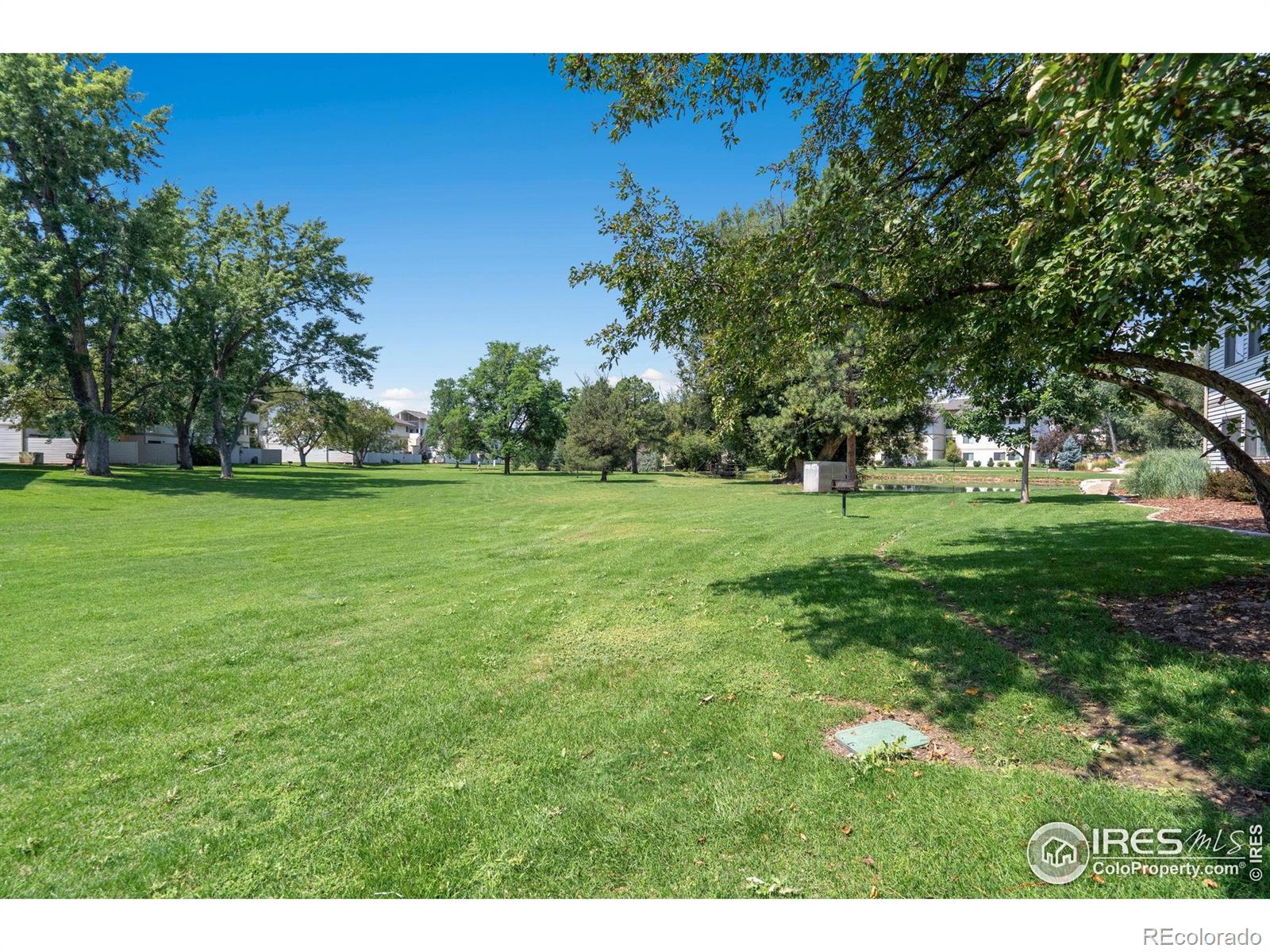 1705 Heatheridge Road Fort Collins CO 80526