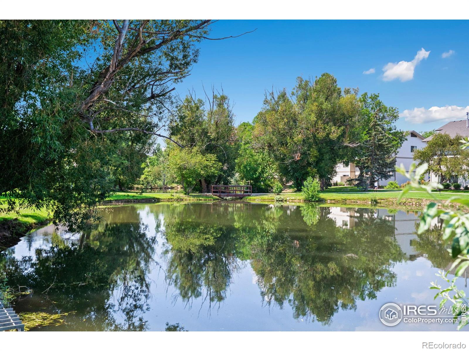 1705 Heatheridge Road Fort Collins CO 80526