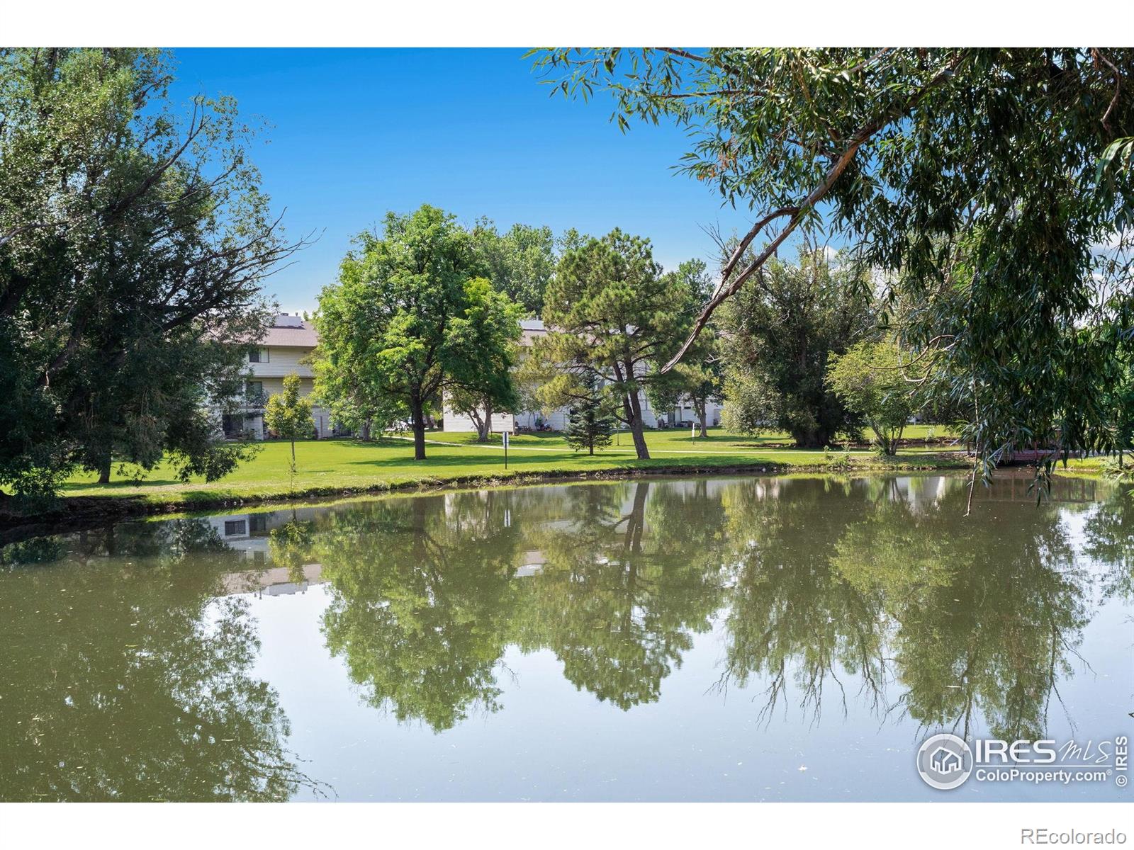 1705 Heatheridge Road Fort Collins CO 80526