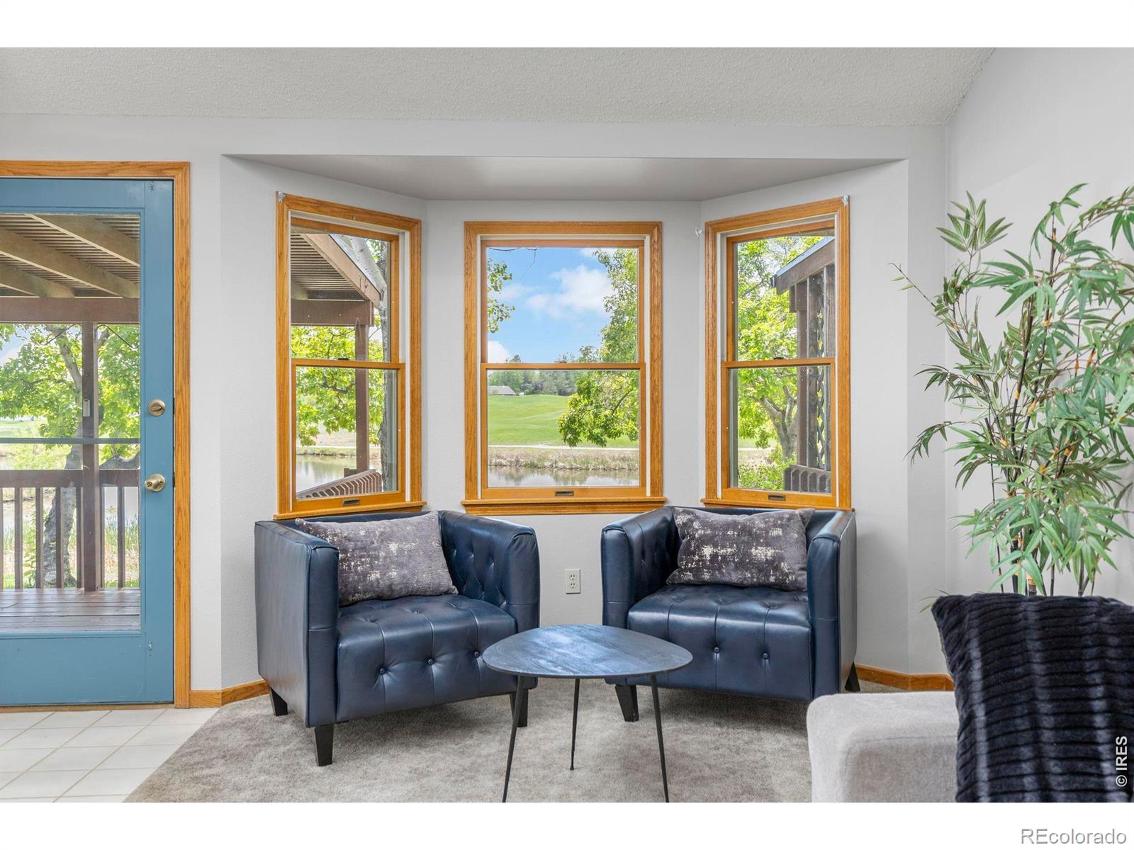 1546 W 29th Street Loveland CO 80538