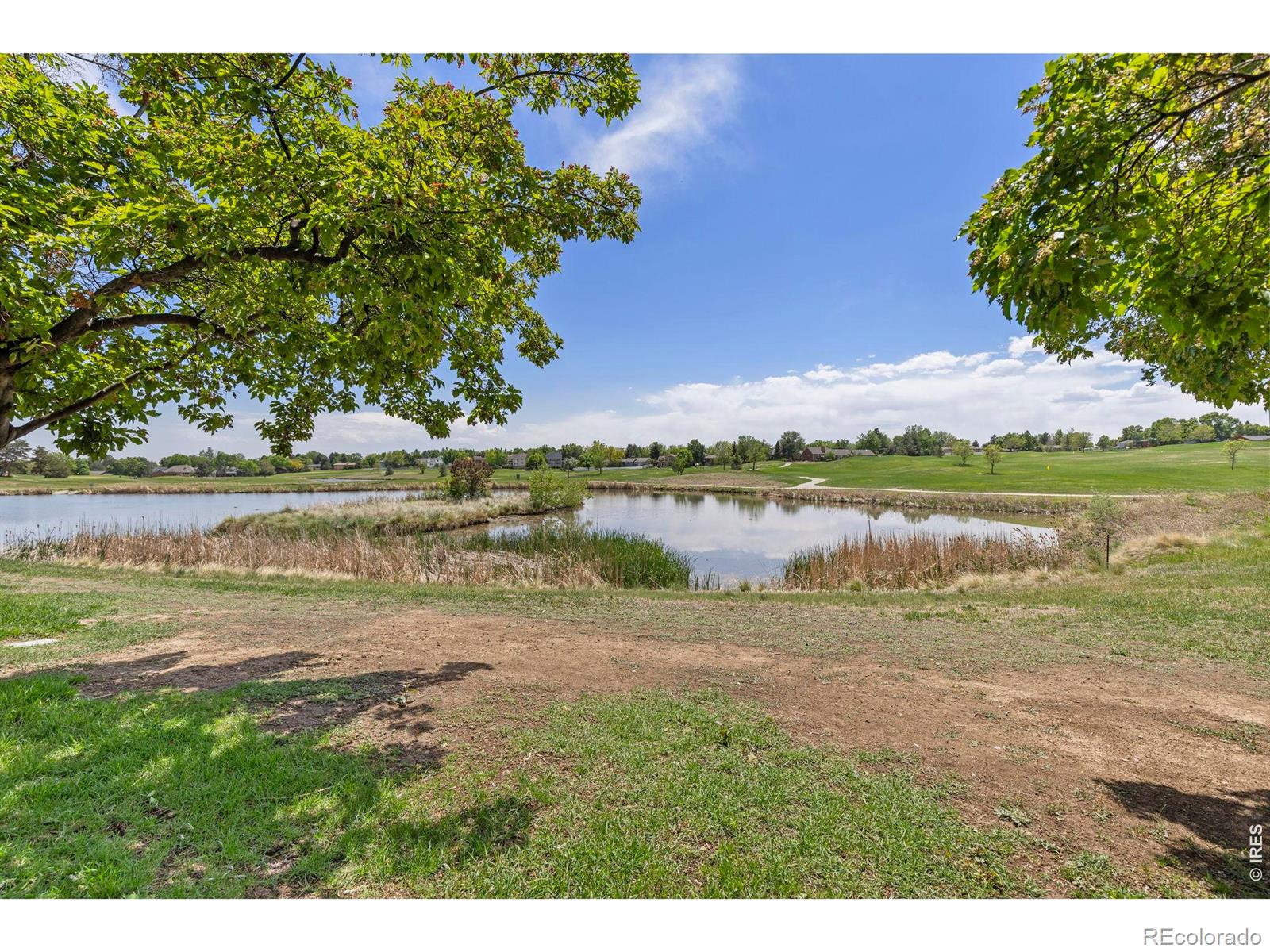 1546 W 29th Street Loveland CO 80538