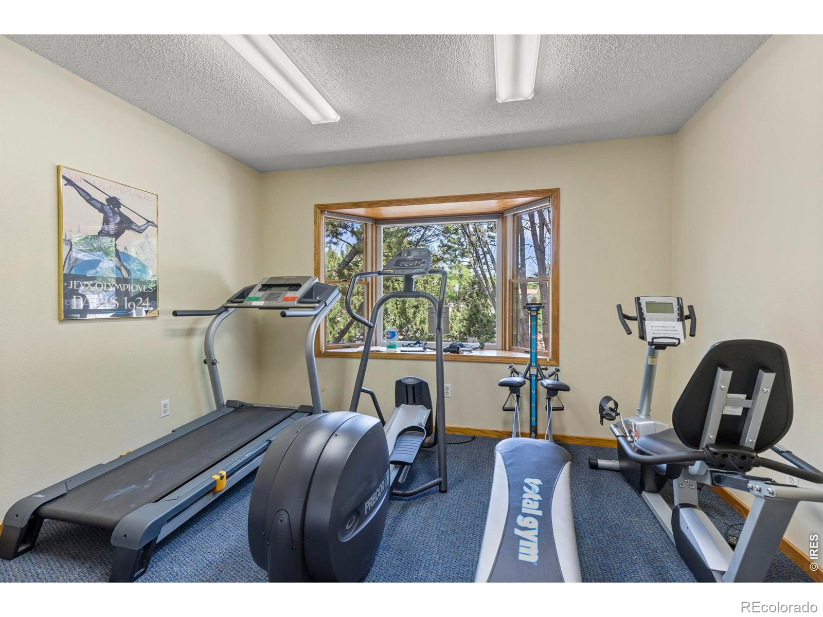 1546 W 29th Street Loveland CO 80538