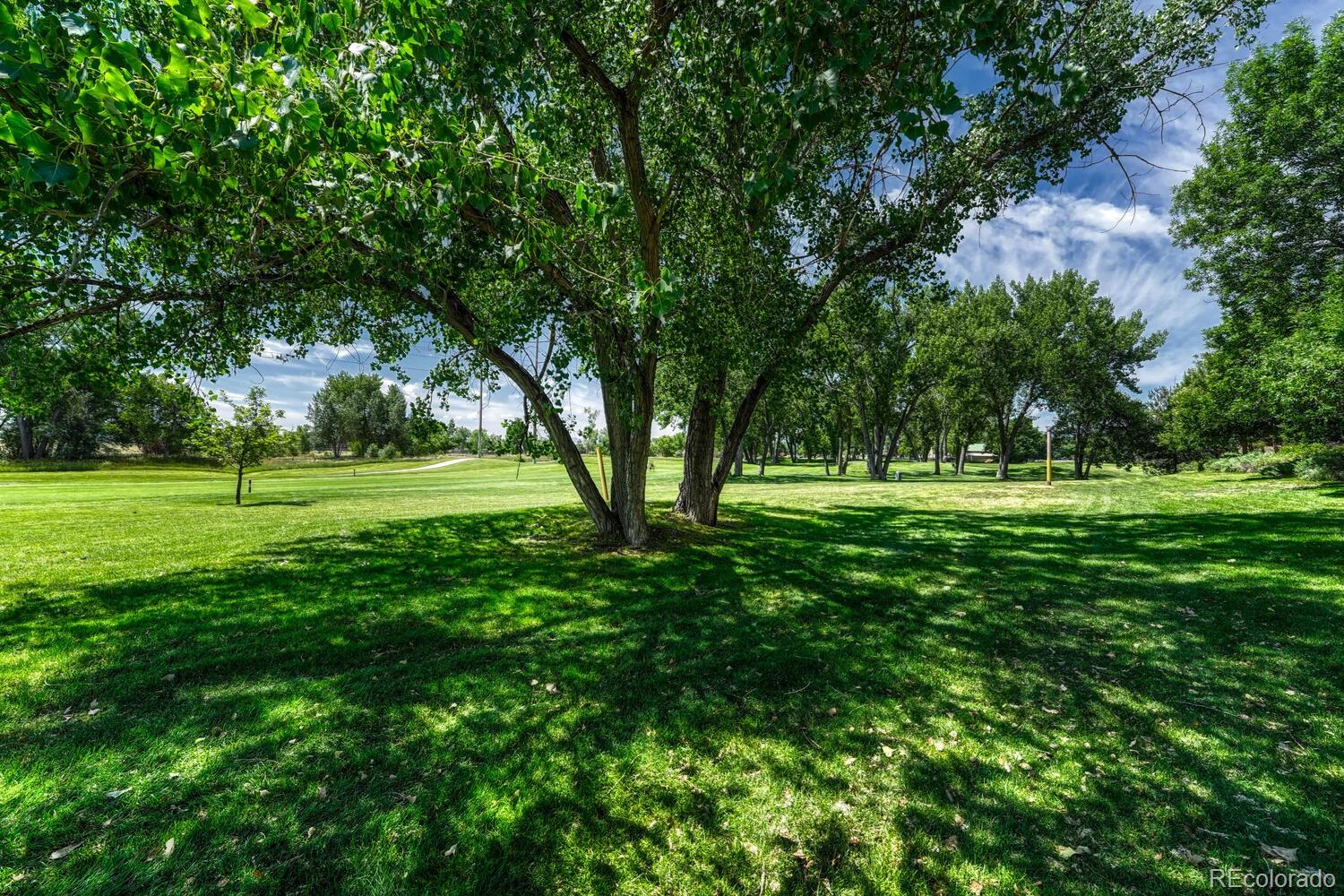 2943 W Riverwalk Circle Littleton CO 80123