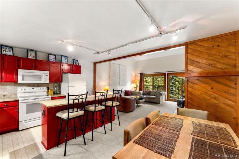 10500 Ryan Gulch Road Silverthorne CO 80498