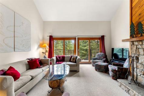 10500 Ryan Gulch Road Silverthorne CO 80498