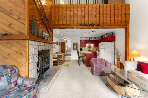 10500 Ryan Gulch Road Silverthorne CO 80498