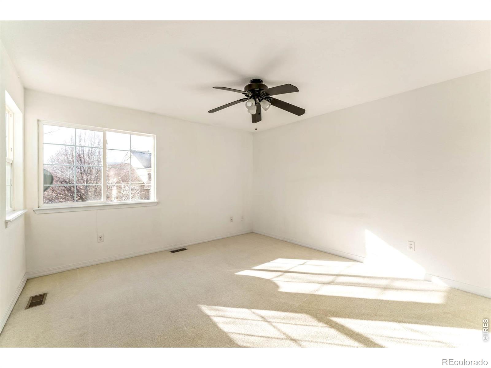 930 Button Rock Drive Longmont CO 80504
