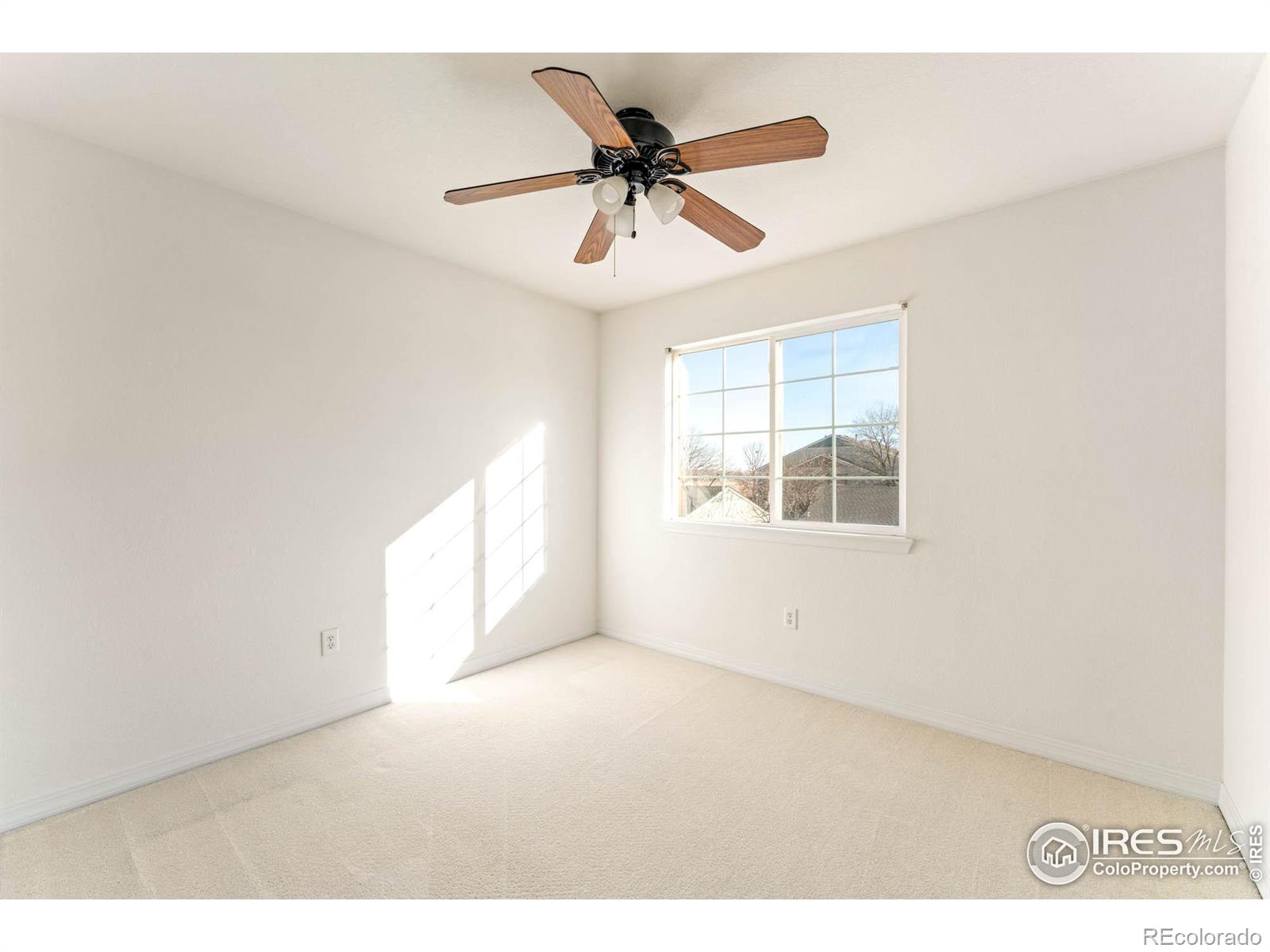 930 Button Rock Drive Longmont CO 80504