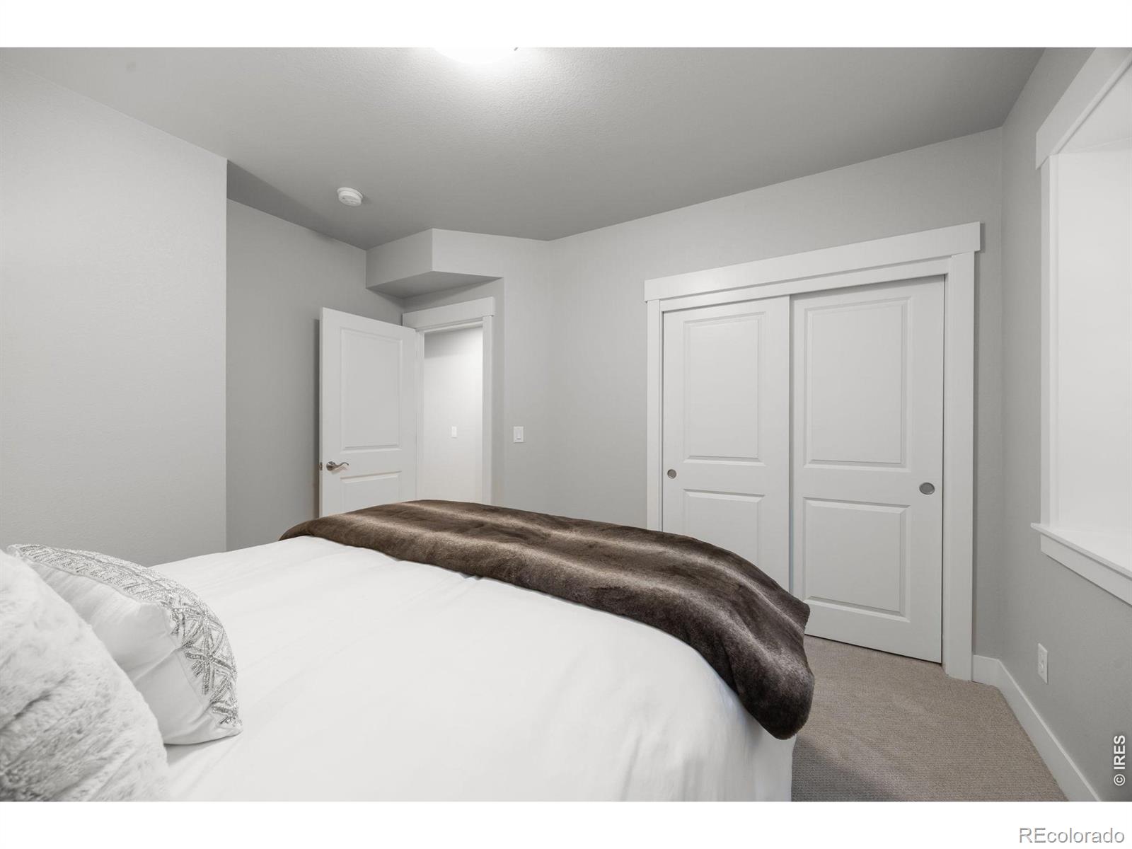 4304 Ardglass Lane Timnath CO 80547
